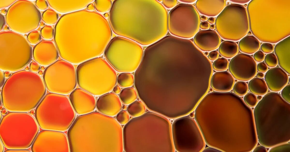 New goods covered by SENT from October 31, 2026 – inedible fats and oils, used cooking oil (CN 1518)